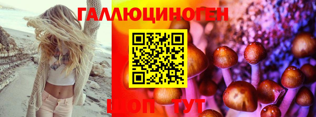 Псилоцибиновые грибы прущие грибы  Псилоцибиновые грибы прущие грибы  как найти закладки  Кувандык  Вход с VPN 