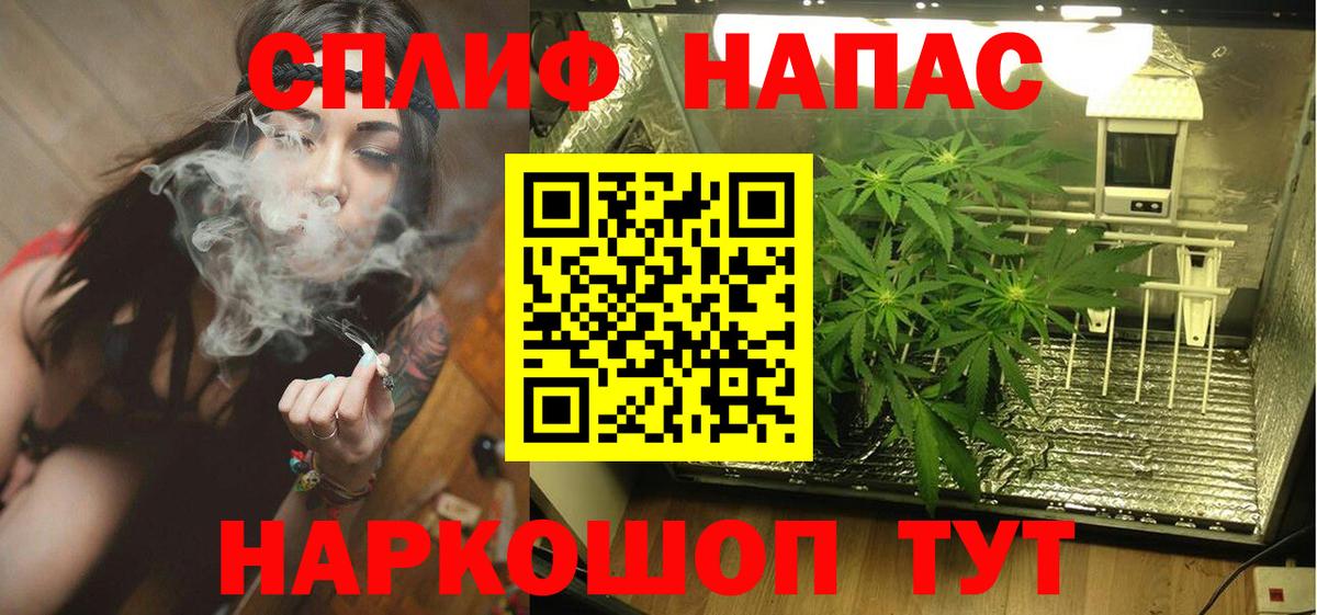 МАРИХУАНА конопля Кувандык